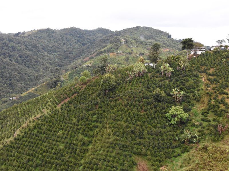 “Me vinculan a un proceso penal totalmente aberrante, sin pruebas, sin evidencias, sin nada” Presidenta de IDEA