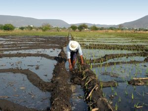 Conagua Ley de Aguas