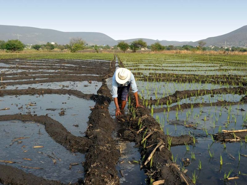 Conagua Ley de Aguas