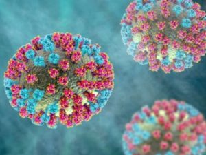 influenza H3N2