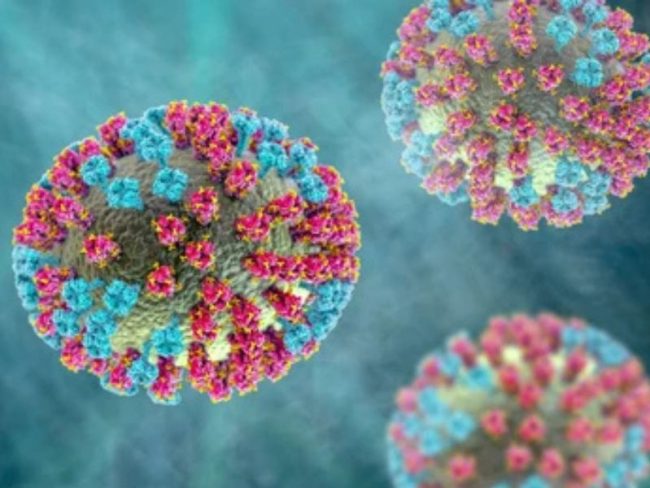 influenza H3N2