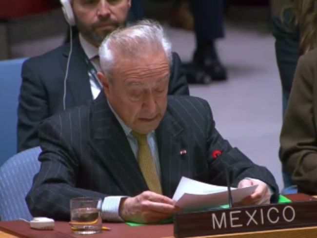 Consejo de Seguridad de la ONU