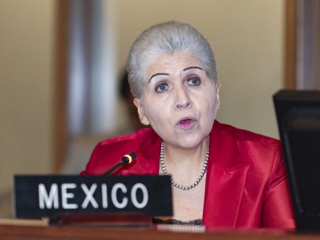 México asilo OEA