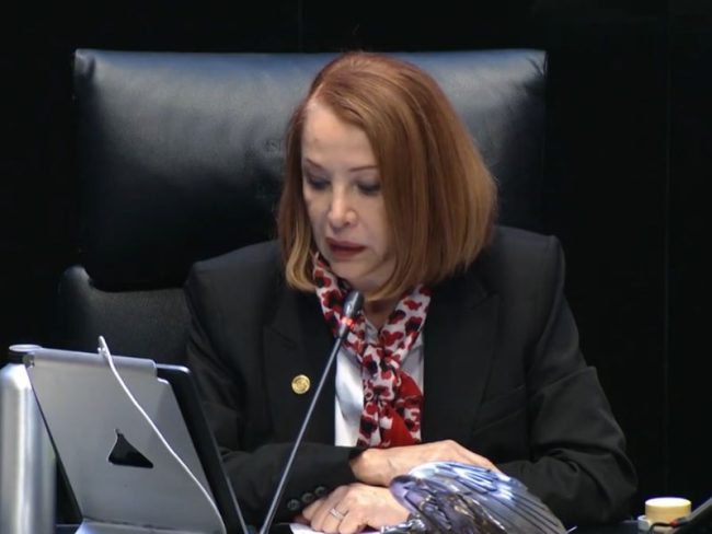 Senado aprueba lista de 10 aspirantes a la FGR; entre ellas se encuentra Ernestina Godoy