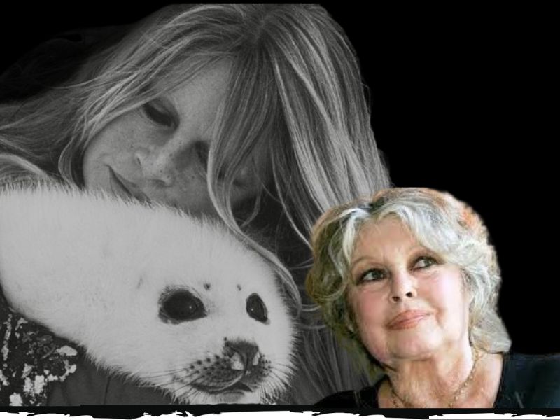 Fallece Brigitte Bardot