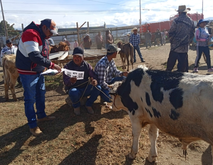 Edomex refuerza cerco sanitario contra gusano barrenador del ganado