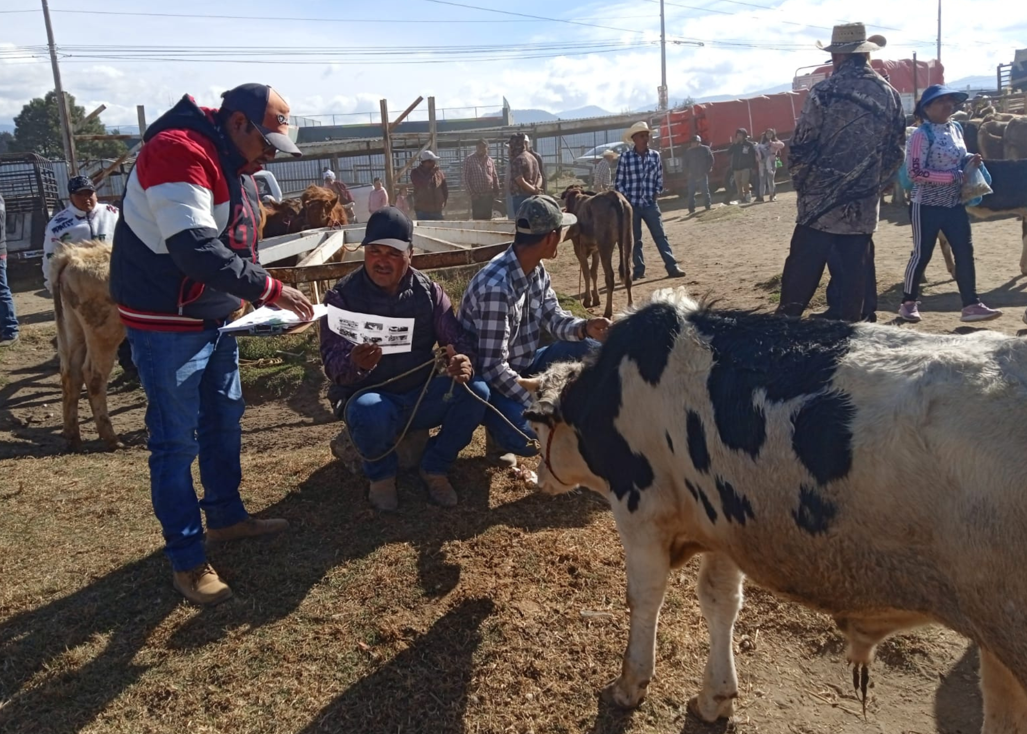 Edomex refuerza cerco sanitario contra gusano barrenador del ganado