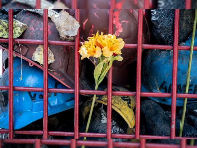 mina Pasta de Conchos