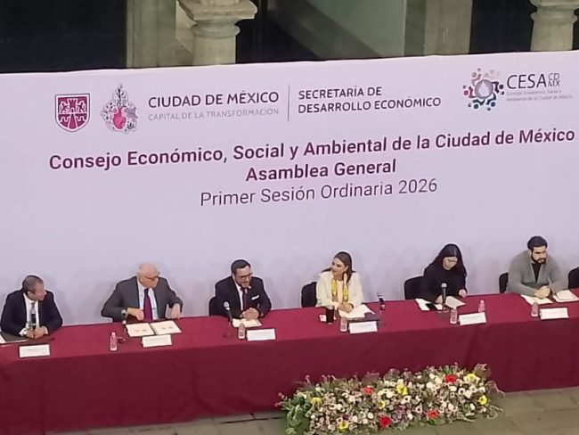 Consejo Económico, Social y Ambiental de la Ciudad de México Consejo Económico, Social y Ambiental de la Ciudad de México