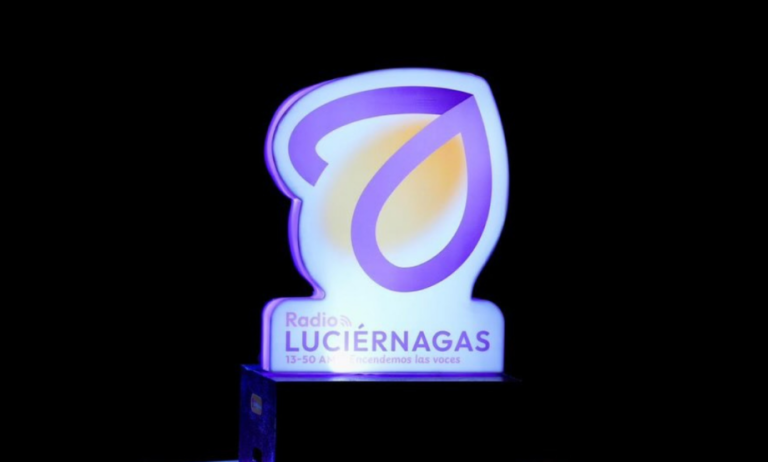 Luciérnagas 13-50