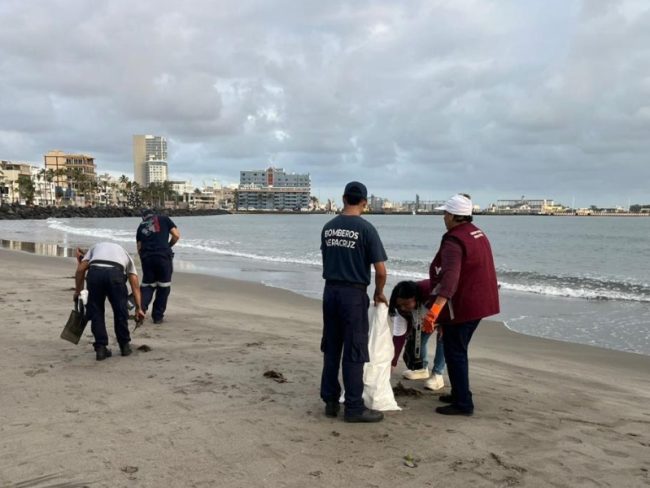 Hidrocarburo Veracruz