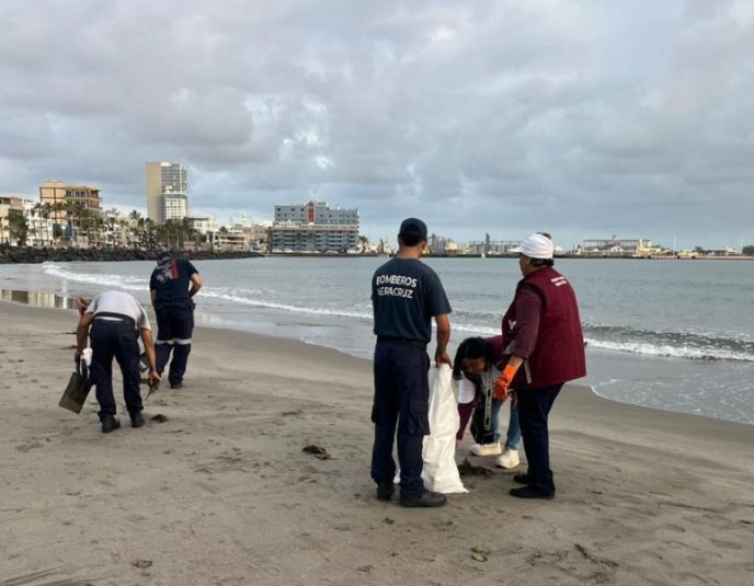 Hidrocarburo Veracruz
