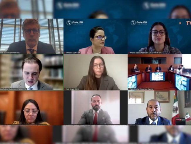 Opinión Consultiva 30 de 2025 de la CIDH