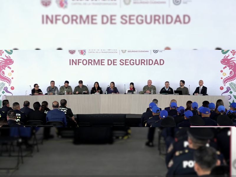 delitos de alto impacto disminuyeron