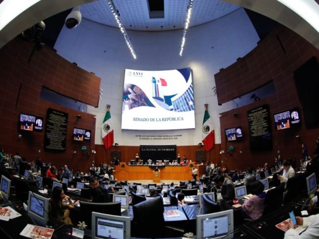Chihuahua Senado