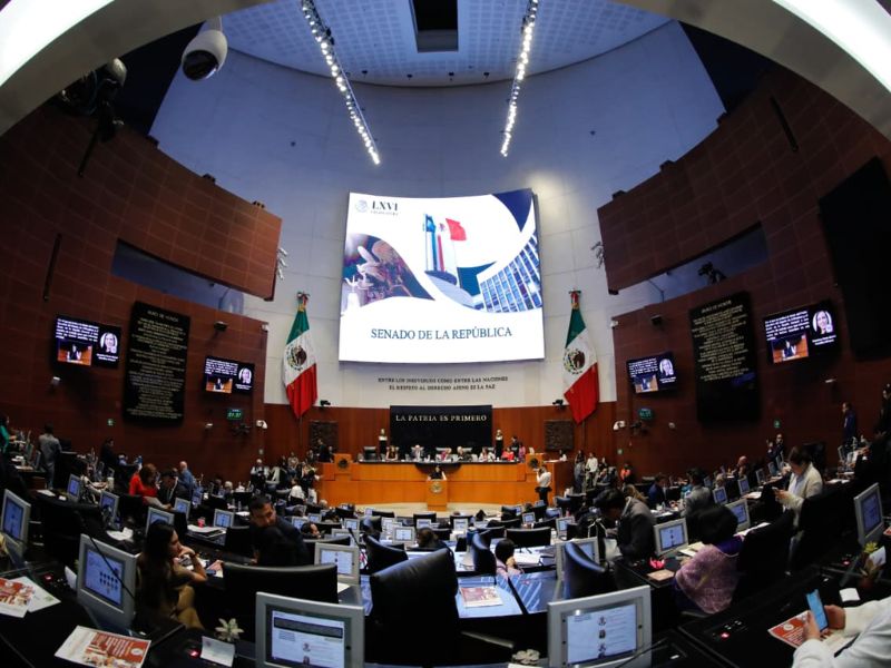Chihuahua Senado