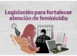 Senado reforma feminicidio