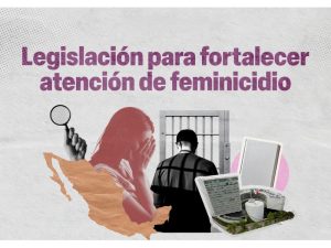 Senado reforma feminicidio