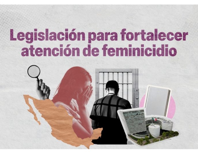 Senado reforma feminicidio