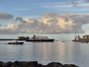 Crucero hantavirus España