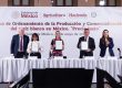 Sheinbaum maíz blanco