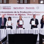 México establece sistema para priorizar maíz blanco nacional
