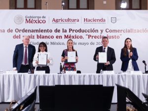 Sheinbaum maíz blanco