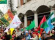 Protestas en Bolivia cumplen ocho días con bloqueos, violencia y saqueos en La Paz