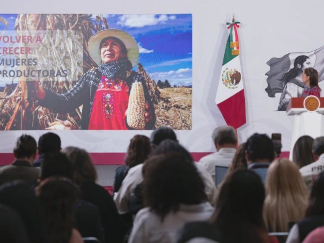 Sheinbaum presenta programa para cancelar y reestructurar deudas de la Financiera Nacional; Sheinbaum presenta programa para cancelar y reestructurar deudas de la Financiera Nacional; beneficiará a 70 mil personas.