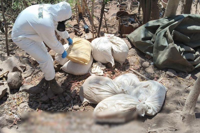 Autoridades federales localizaron e inhabilitaron tres laboratorios clandestinos en Sinaloa, Autoridades federales localizaron e inhabilitaron tres laboratorios clandestinos en Sinaloa,