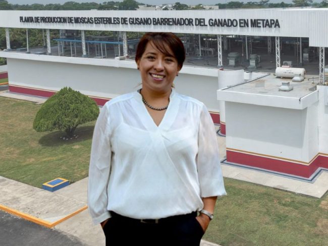La titular de SADER, Columba Yasmín López Gutiérrez, anunció la ampliación de la planta de moscas estériles en Chiapas