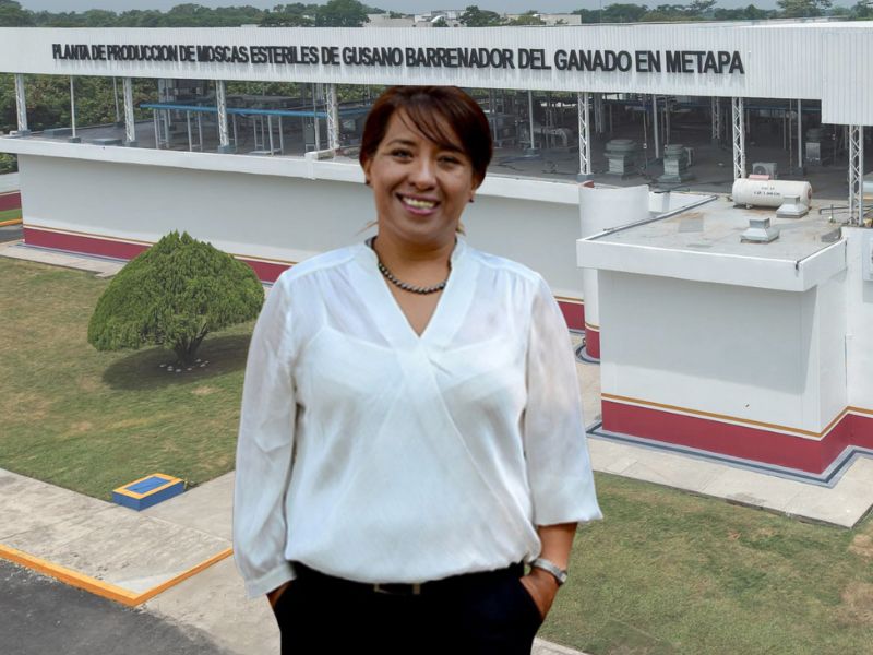 La titular de SADER, Columba Yasmín López Gutiérrez, anunció la ampliación de la planta de moscas estériles en Chiapas