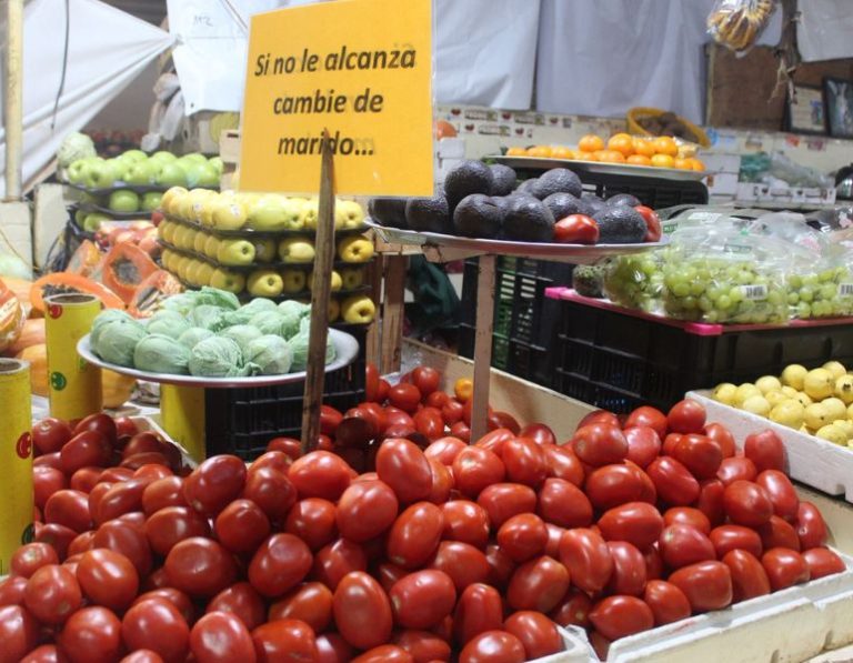 Vendedores de jitomate en la CDMX confían en que los precios se estabilicen tras meses de alzas. Sheinbaum impulsa medidas para reducirlos.