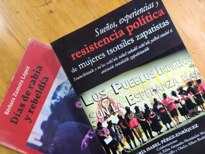 Los libros Días de rabia y rebeldía y Sueños, experiencias y resistencia política de mujeres tsotsiles zapatistas revisan el legado del EZLN.