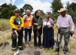 De norte a sur: Sheinbaum encabezó primera Jornada Nacional de Reforestación