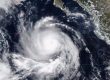 Alerta en Baja California Sur: Polo avanza como huracán categoría 4