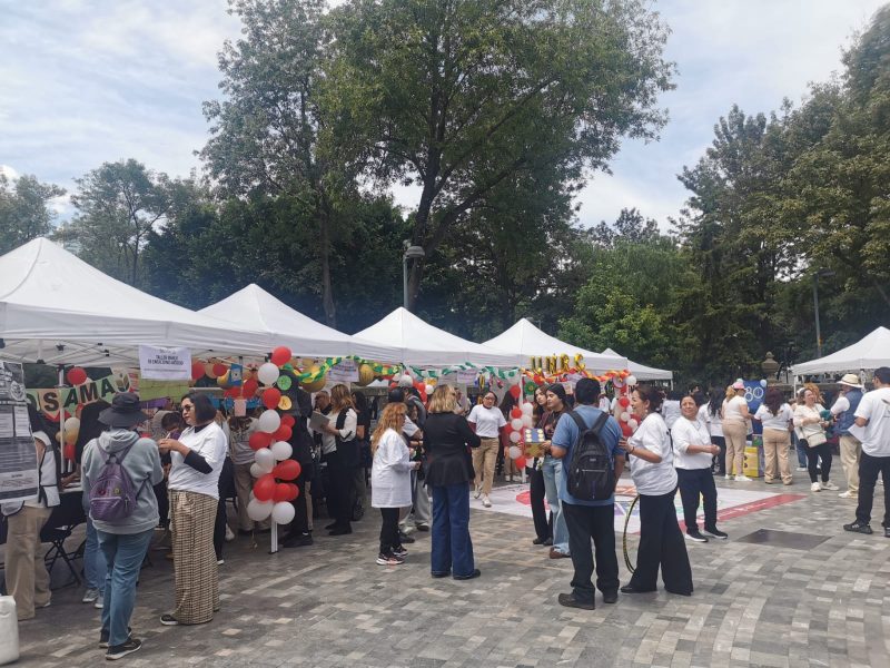Salud Emocional Alameda Salud Emocional Alameda