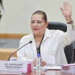 Taddei anuncia que renunciará al INE para proteger al instituto
