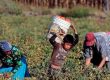 La ENTI 2025 del Inegi reportó que 3.5 millones de niñas, niños y adolescentes de 5 a 17 años estaban en situación de trabajo infantil en México; la incidencia aumenta entre quienes no asisten a la escuela y la población indígena.