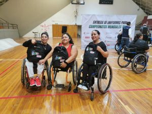 Powerlifting equipo